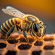 Honeytoken Microsoft Defender for Identity MDI